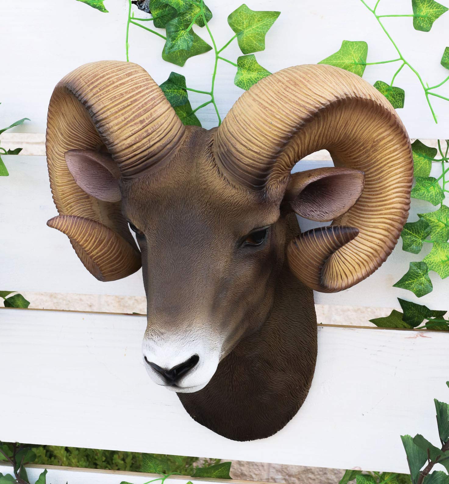 Amazon.com: Ebros Wildlife Rustic Rocky Mountains Bighorn Sheep